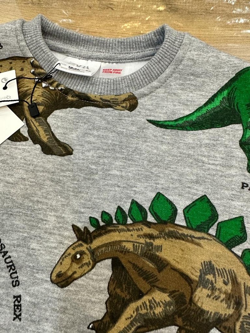 1-6 Yaş Aralığı Polarlı T-REX Eşofman Takımı